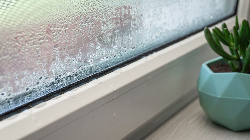 Close-up of condensation and water droplets between double-pane window glass, indicating a broken seal and poor insulation near a small potted plant.