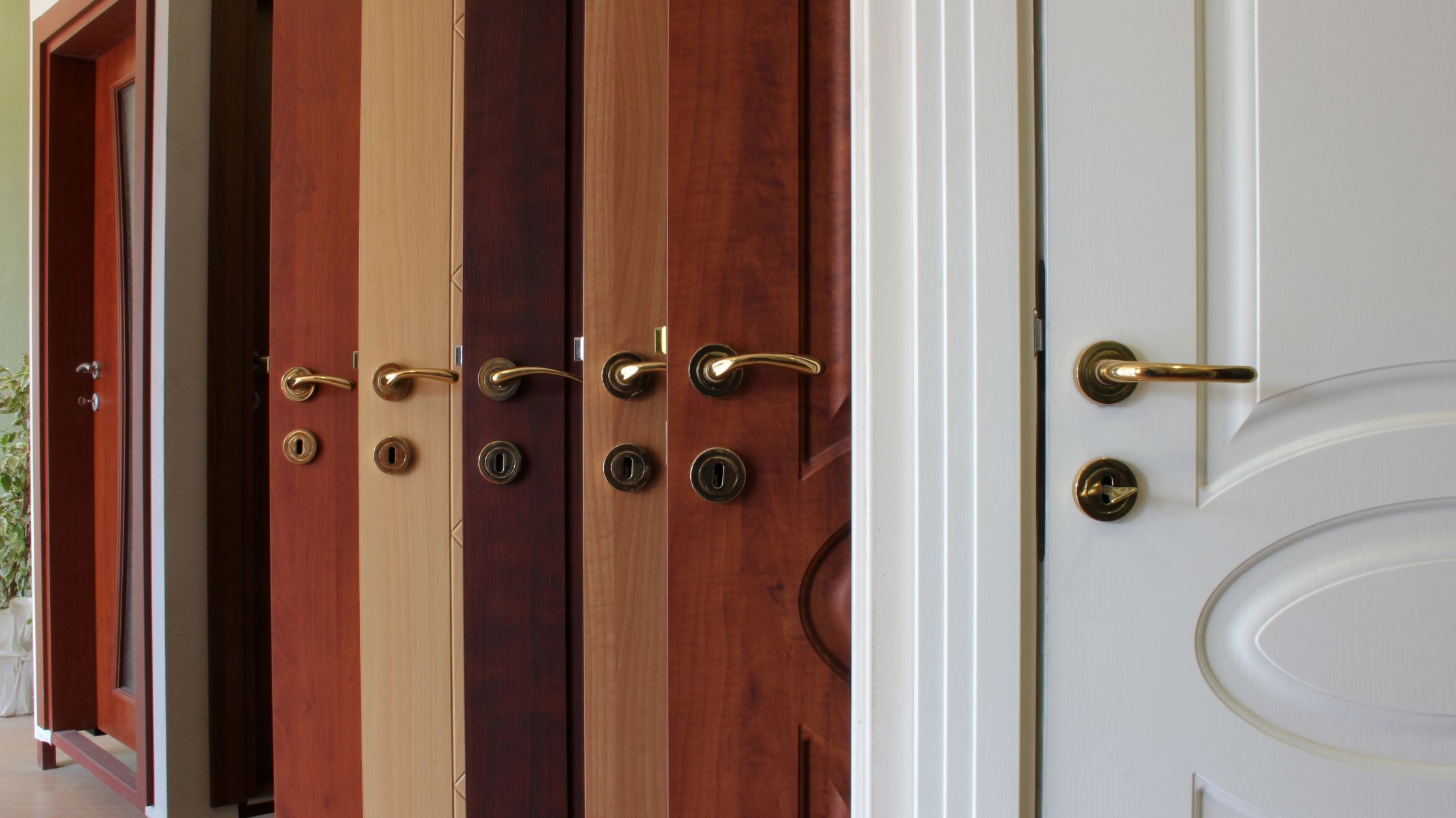 Variety of front door options for Winnipeg homes, featuring wood and steel finishes, secure locks, and modern entry door styles.